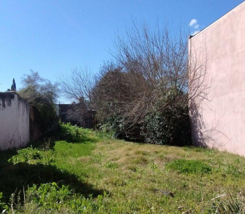 Terrenos y Lotes en Venta en La Plata