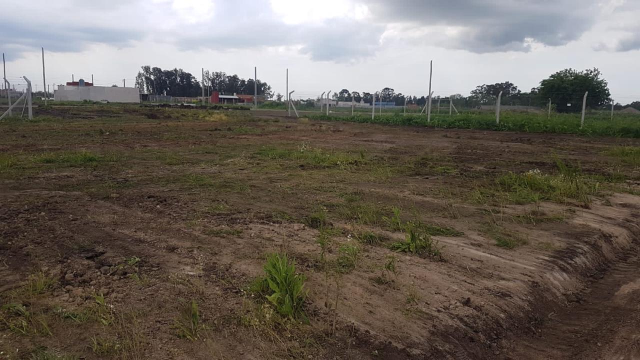 Terrenos y Lotes en Venta en Altos San Lorenzo